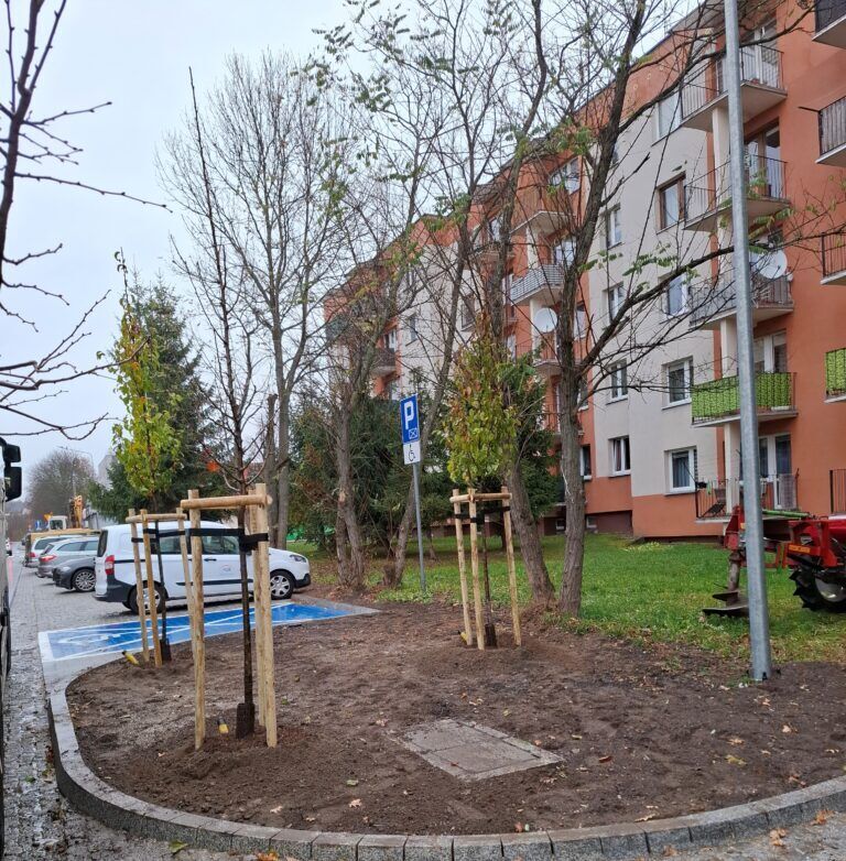 20241119 125901 768x782