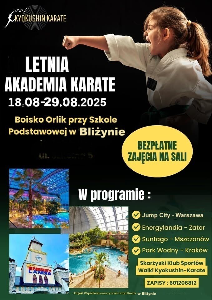 Bliżyn