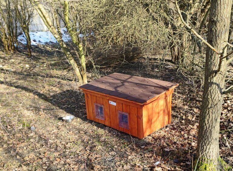 IMG 20250123 110511269 HDR 768x566