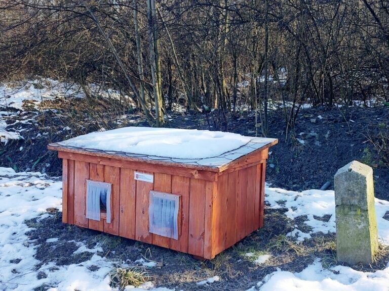 IMG 20250123 112550478 HDR 768x576