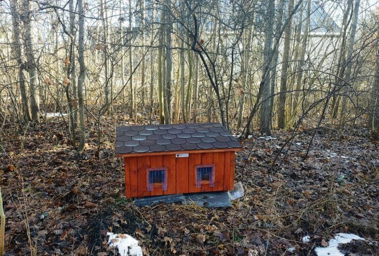 IMG 20250123 114811571 HDR 768x520