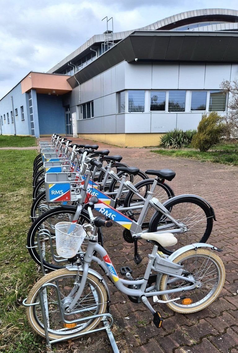 658878647 1747978599515959 6780012711007896177 n 768x1137