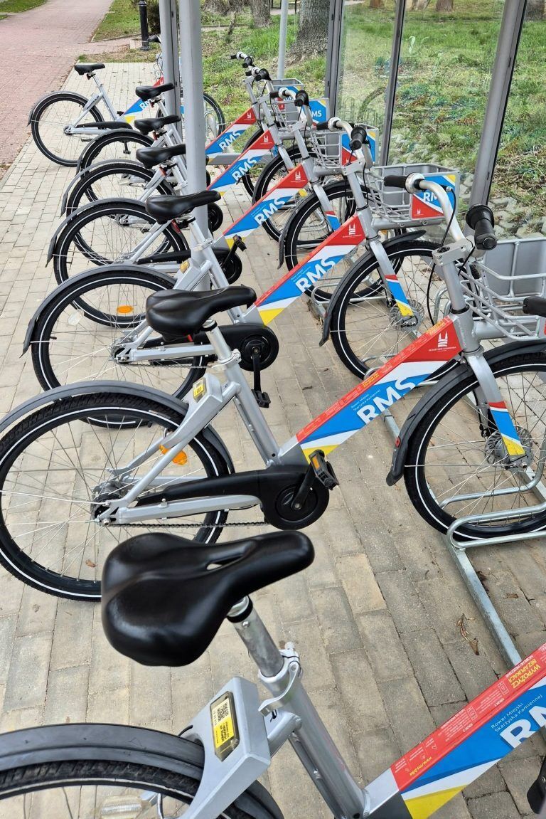 658986712 1747978646182621 5545847414702770910 n 768x1151