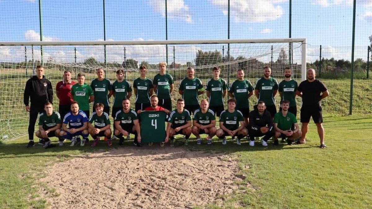 31 cdf6a