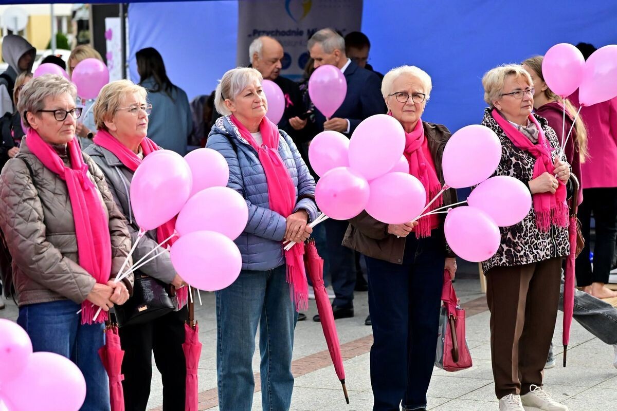 marszrozwstaz51